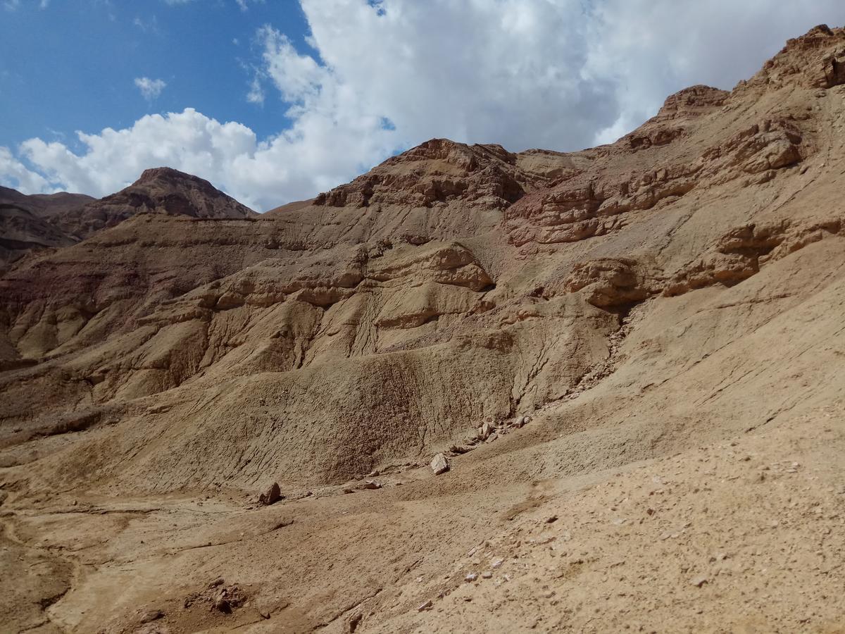 Relax In The Desert Διαμέρισμα Be'er Ora Εξωτερικό φωτογραφία
